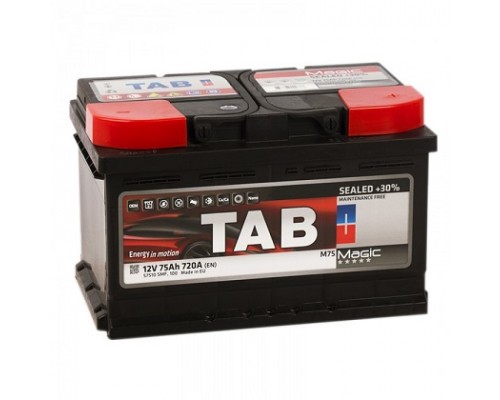 Аккумулятор TAB EFB 80 R
